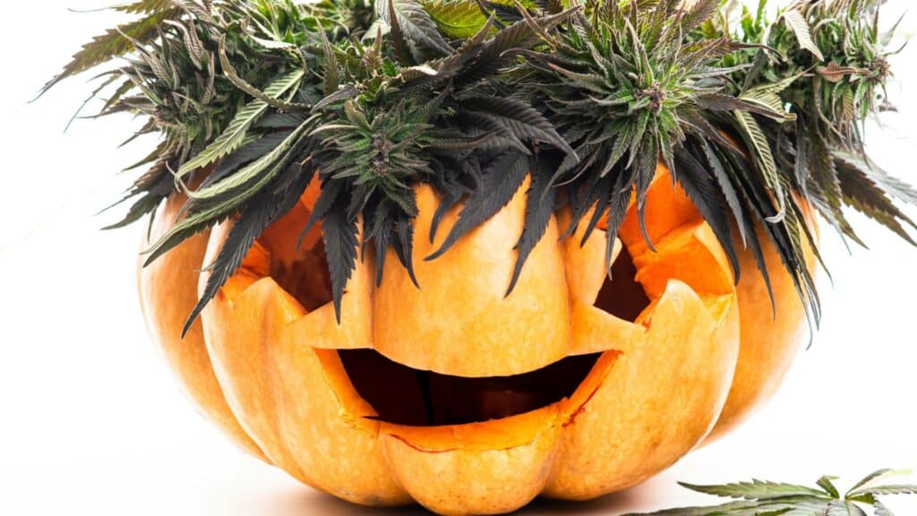 Have a Happy, High Halloween: How to Enjoy Halloween With Cannabis?